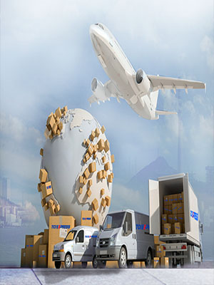 South America International Logistics